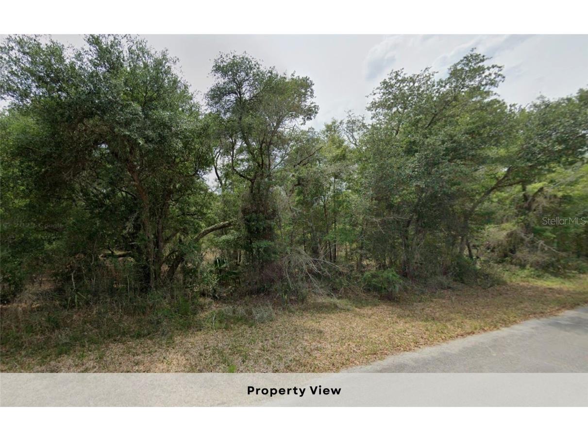 12504 W Baltic Ivy Street Crystal River FL 34428 OM714284 image8