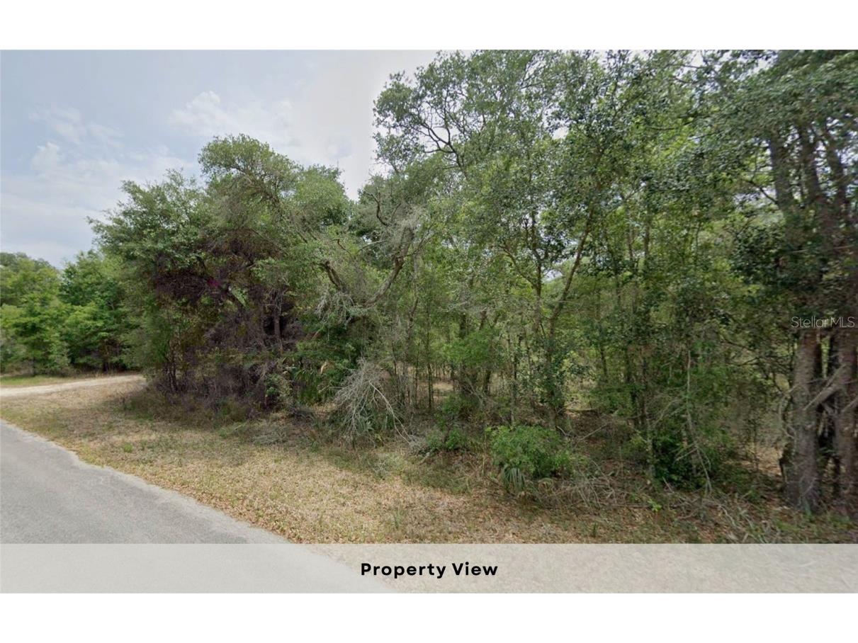 12504 W Baltic Ivy Street Crystal River FL 34428 OM714284 image9