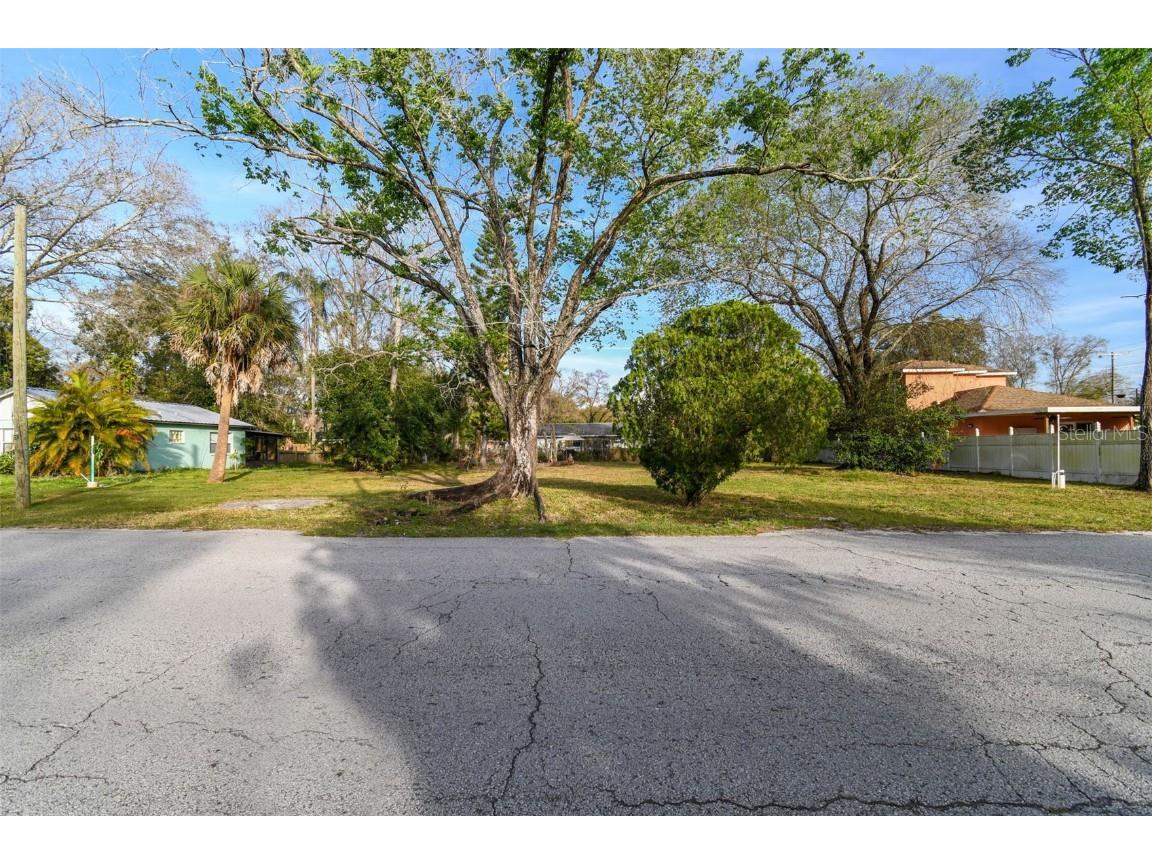 12505 Four Oaks Road Tampa FL 33624 T3481415 image1