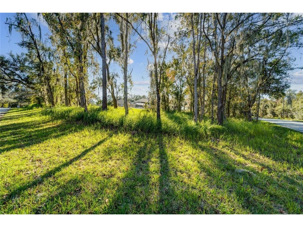 12505 Lake Hills Drive Riverview FL 33569 TB8377592 image1