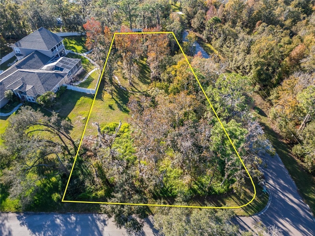 12505 Lake Hills Drive Riverview FL 33569 TB8377592 image2