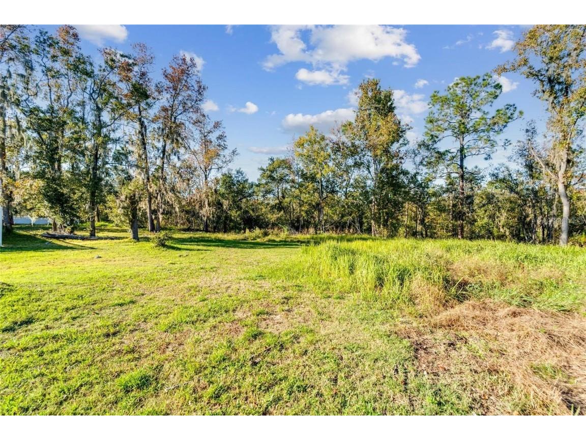 12505 Lake Hills Drive Riverview FL 33569 TB8377592 image4