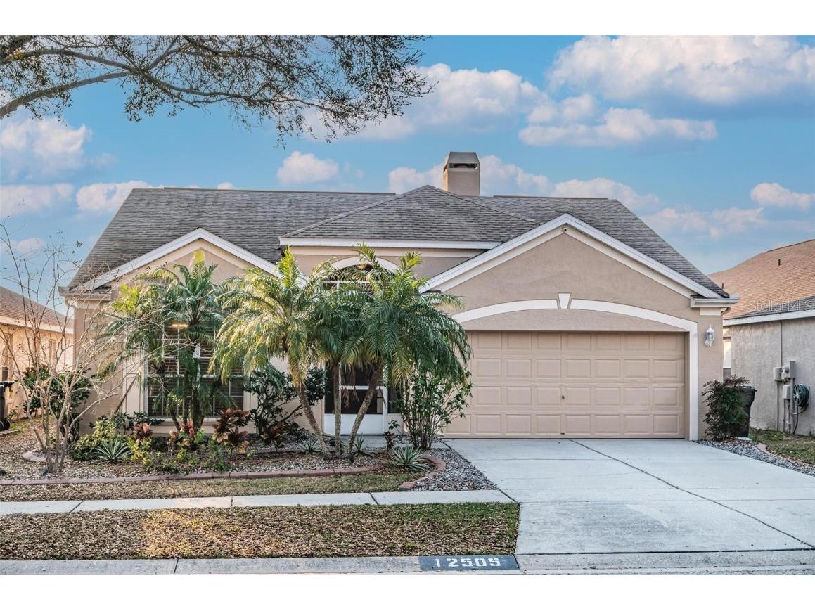 12505 Midpointe Drive Riverview FL 33578 T3506453 image1