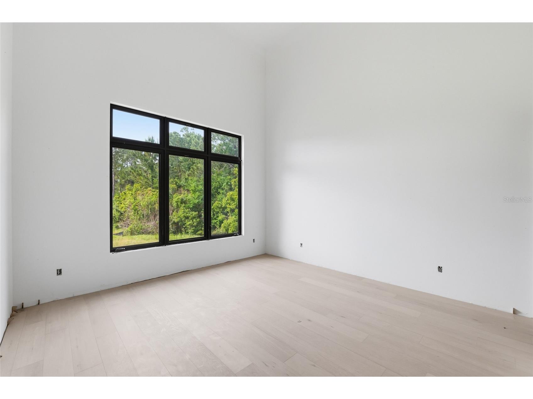 12505 Stonelake Ranch Boulevard Thonotosassa FL 33592 TB8501189 image25