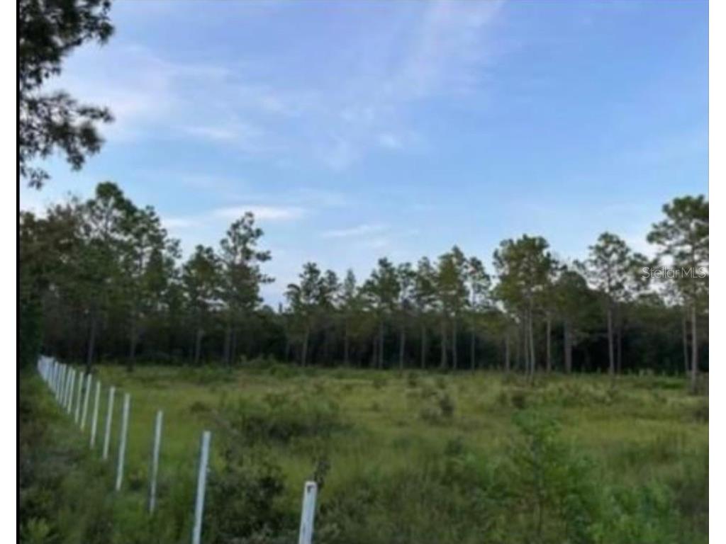 12505 SW 91st Lane Ocala FL 34481 U8214185 image1