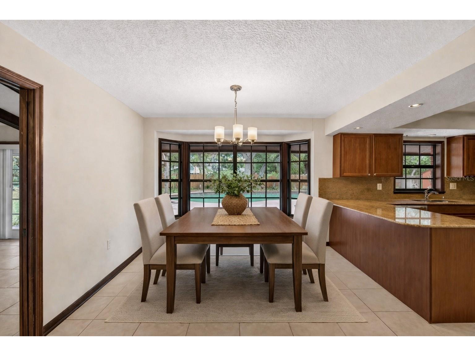12506 Shadow Run Boulevard Riverview FL 33569 TB8497746 image16