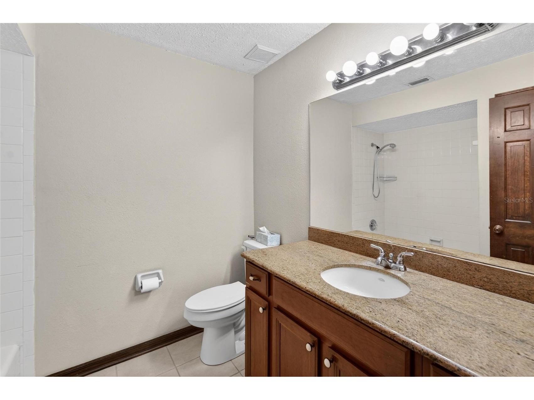 12506 Shadow Run Boulevard Riverview FL 33569 TB8497746 image34