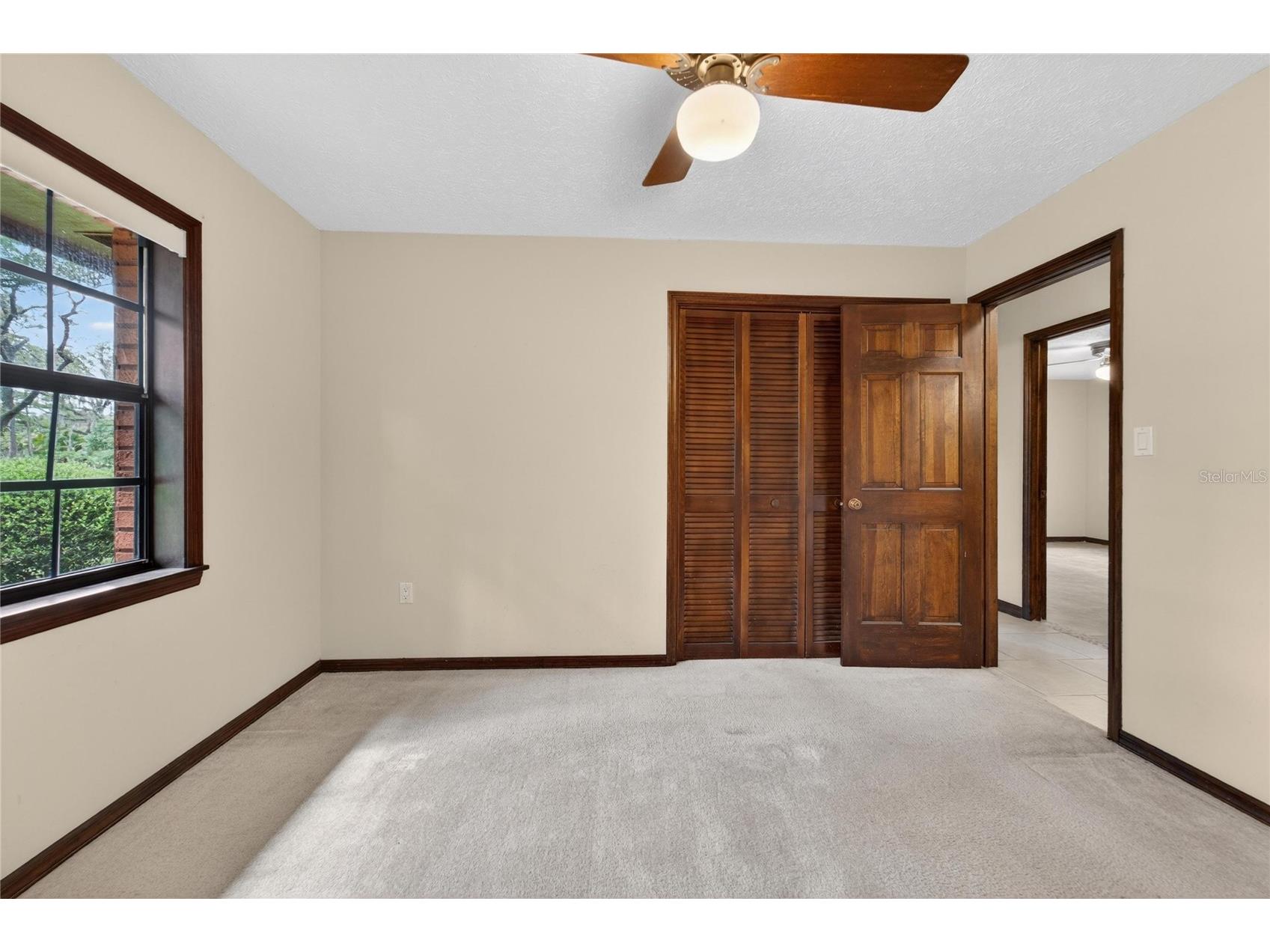 12506 Shadow Run Boulevard Riverview FL 33569 TB8497746 image35