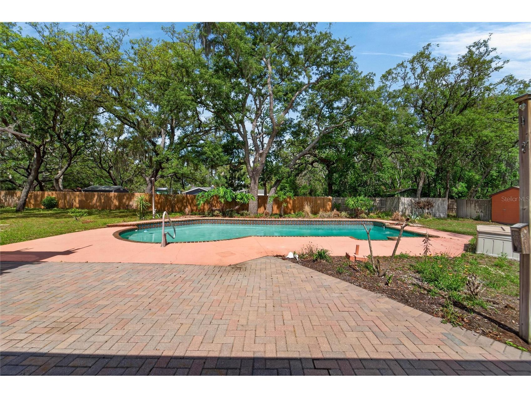 12506 Shadow Run Boulevard Riverview FL 33569 TB8497746 image8
