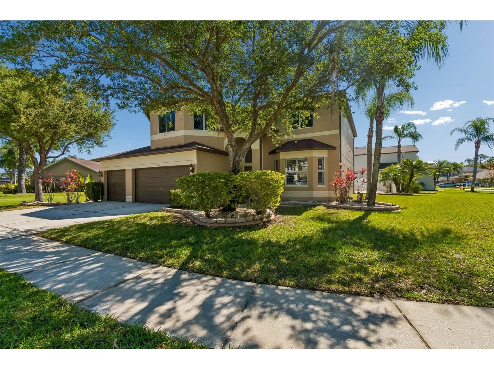 12507 Ashdown Drive Odessa FL 33556 TB8527394 image2