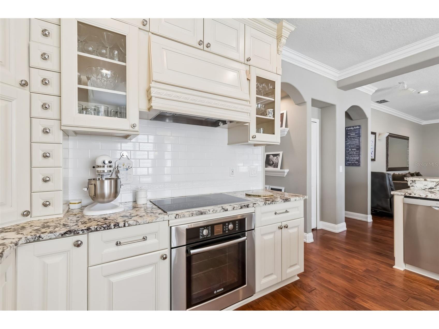 12507 Ashdown Drive Odessa FL 33556 TB8527394 image27
