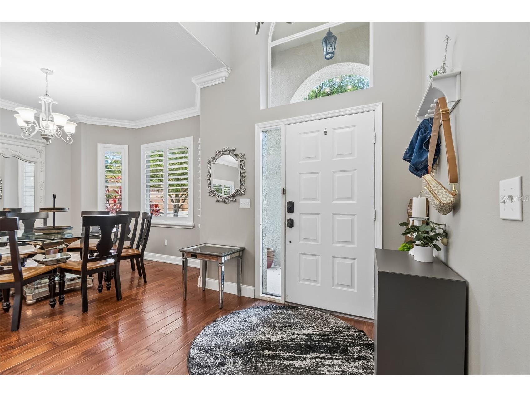 12507 Ashdown Drive Odessa FL 33556 TB8527394 image4