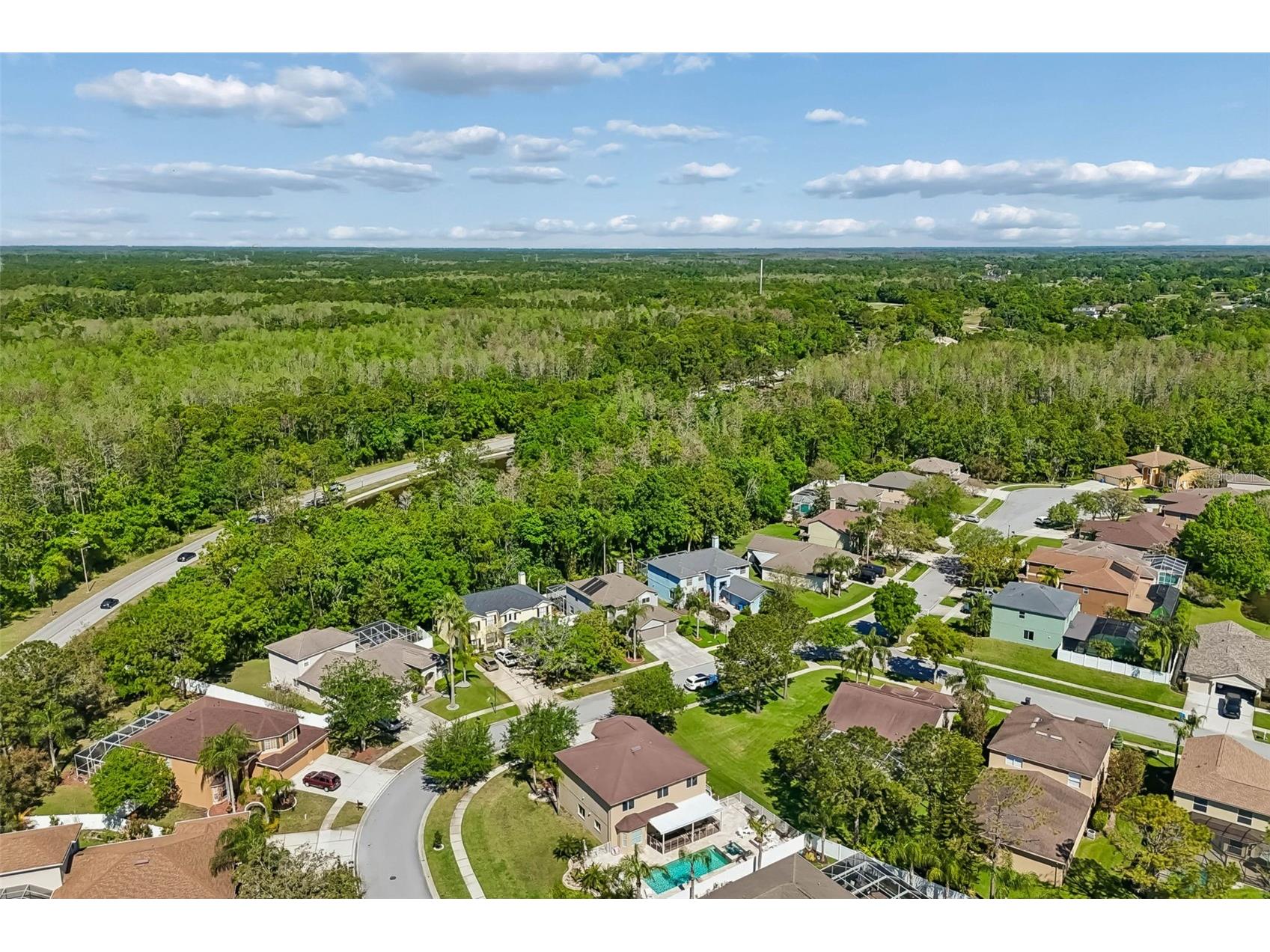 12507 Ashdown Drive Odessa FL 33556 TB8527394 image83