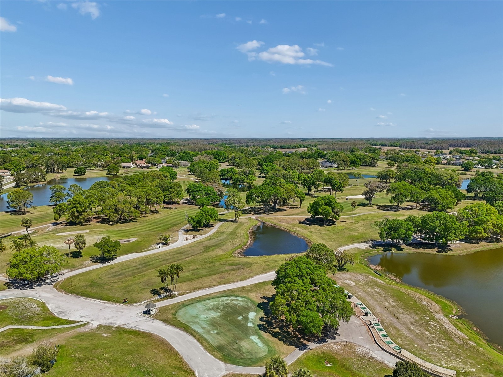 12507 Ashdown Drive Odessa FL 33556 TB8527394 image85