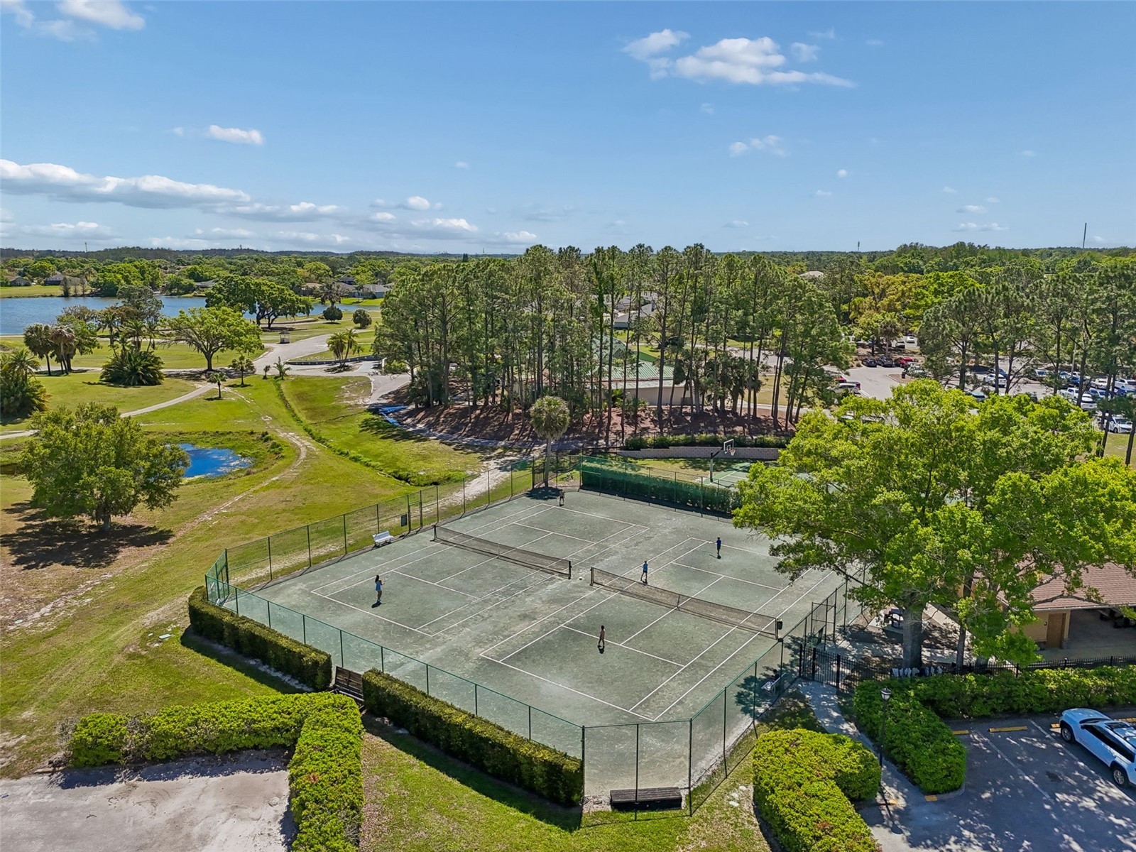12507 Ashdown Drive Odessa FL 33556 TB8527394 image88