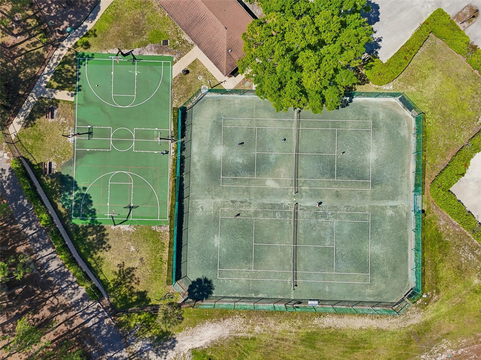 12507 Ashdown Drive Odessa FL 33556 TB8527394 image89