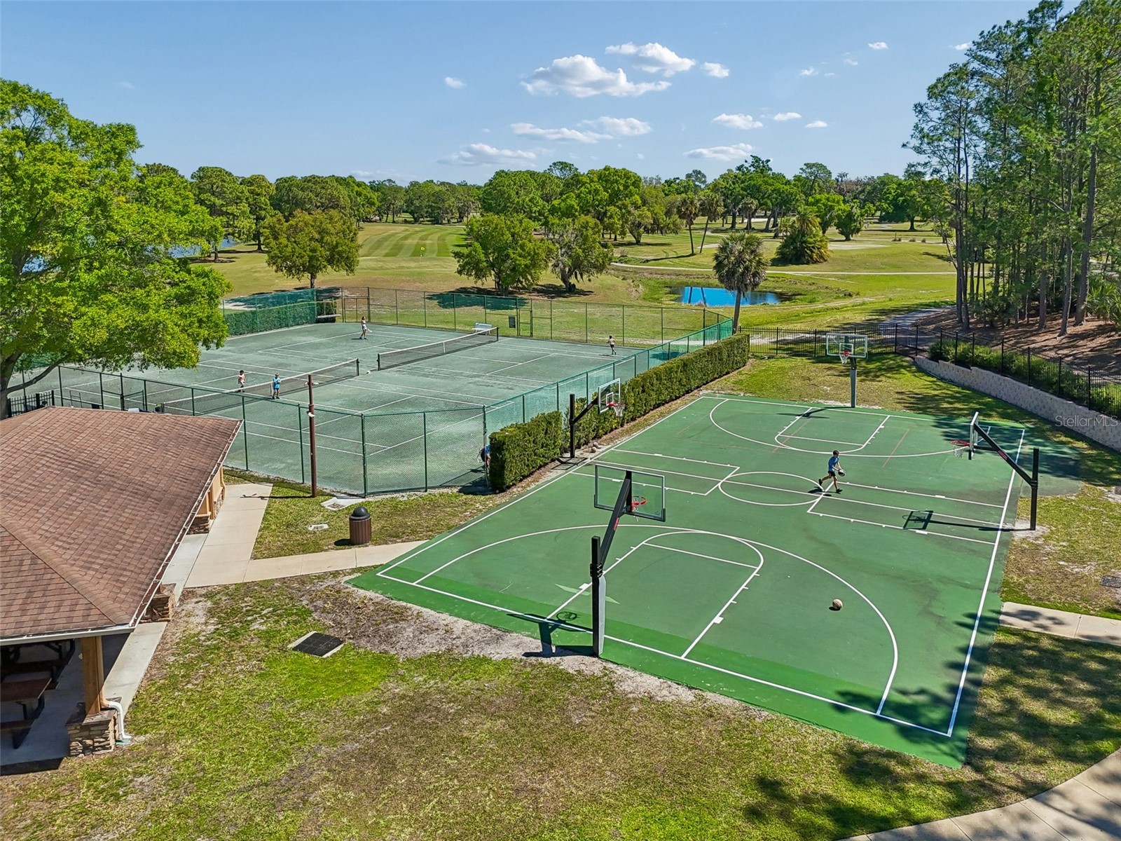 12507 Ashdown Drive Odessa FL 33556 TB8527394 image92