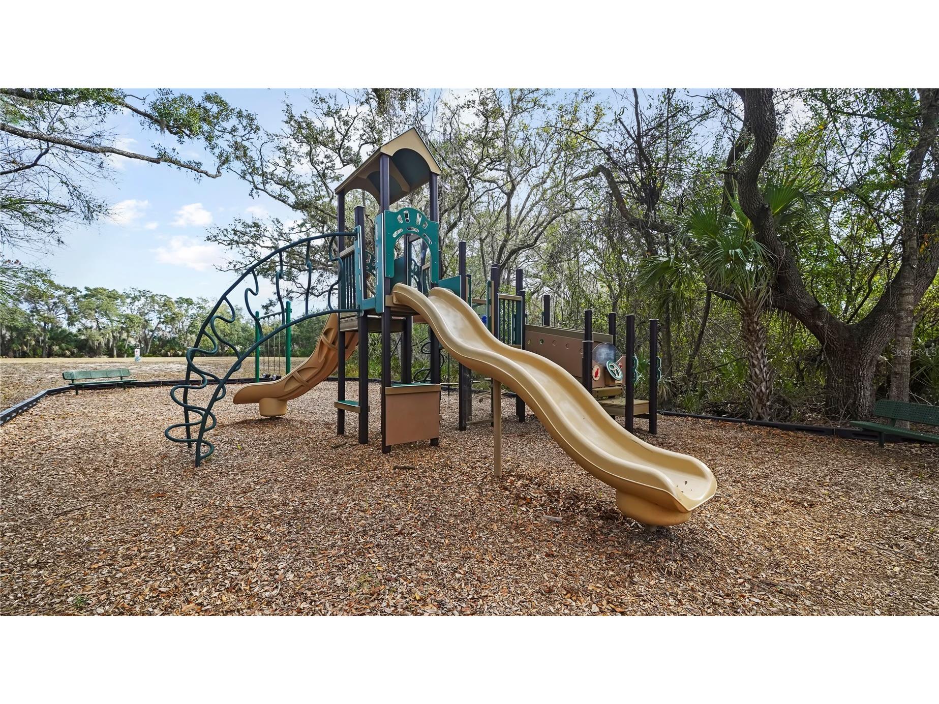 12507 Bay Branch Court Tampa FL 33635 FC316383 image57