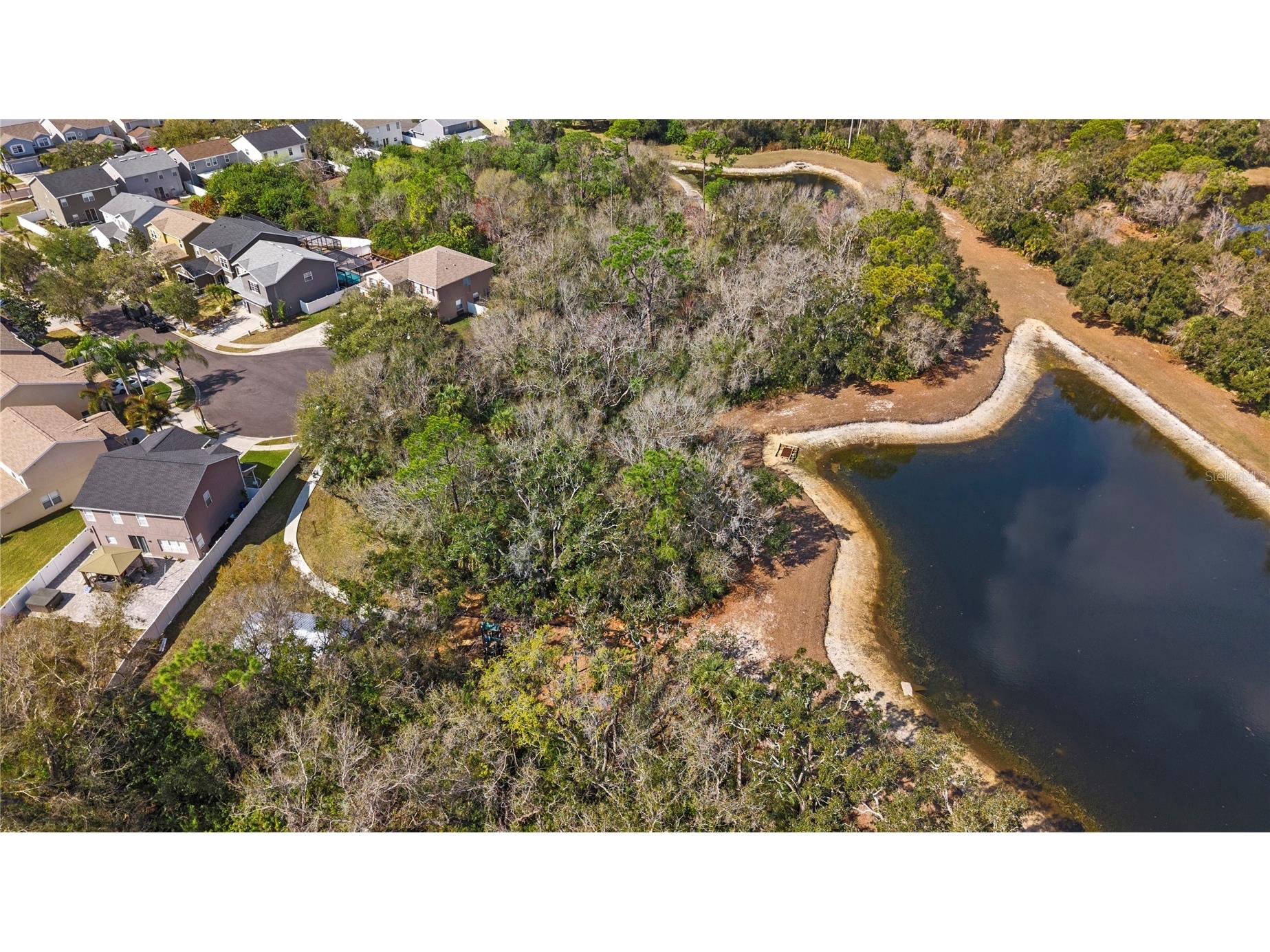 12507 Bay Branch Court Tampa FL 33635 FC316383 image66