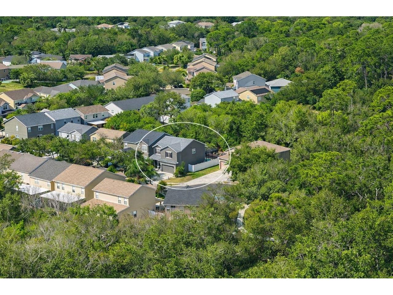 12507 Bay Branch Court Tampa FL 33635 FC316383 image71