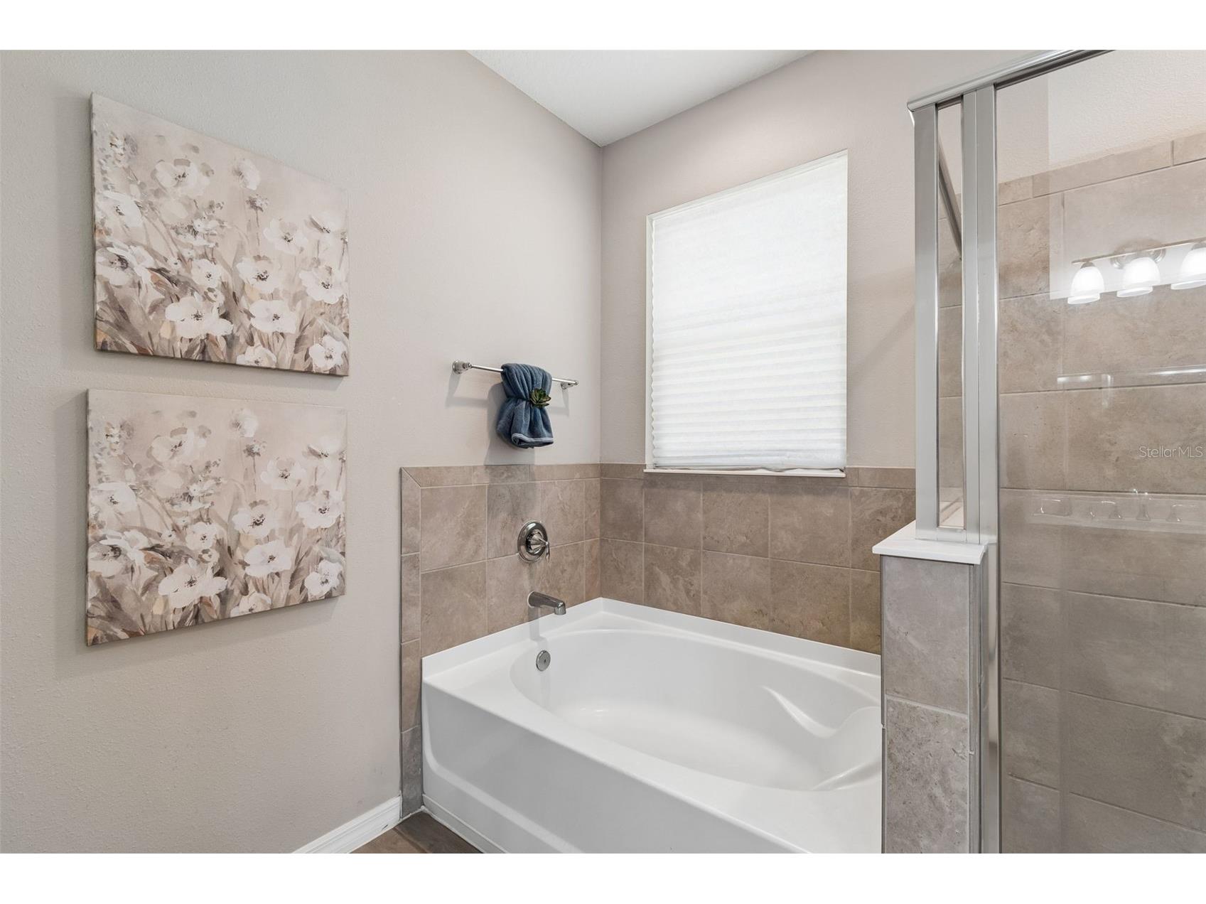 12507 Candleberry Circle Tampa FL 33635 TB8509861 image36