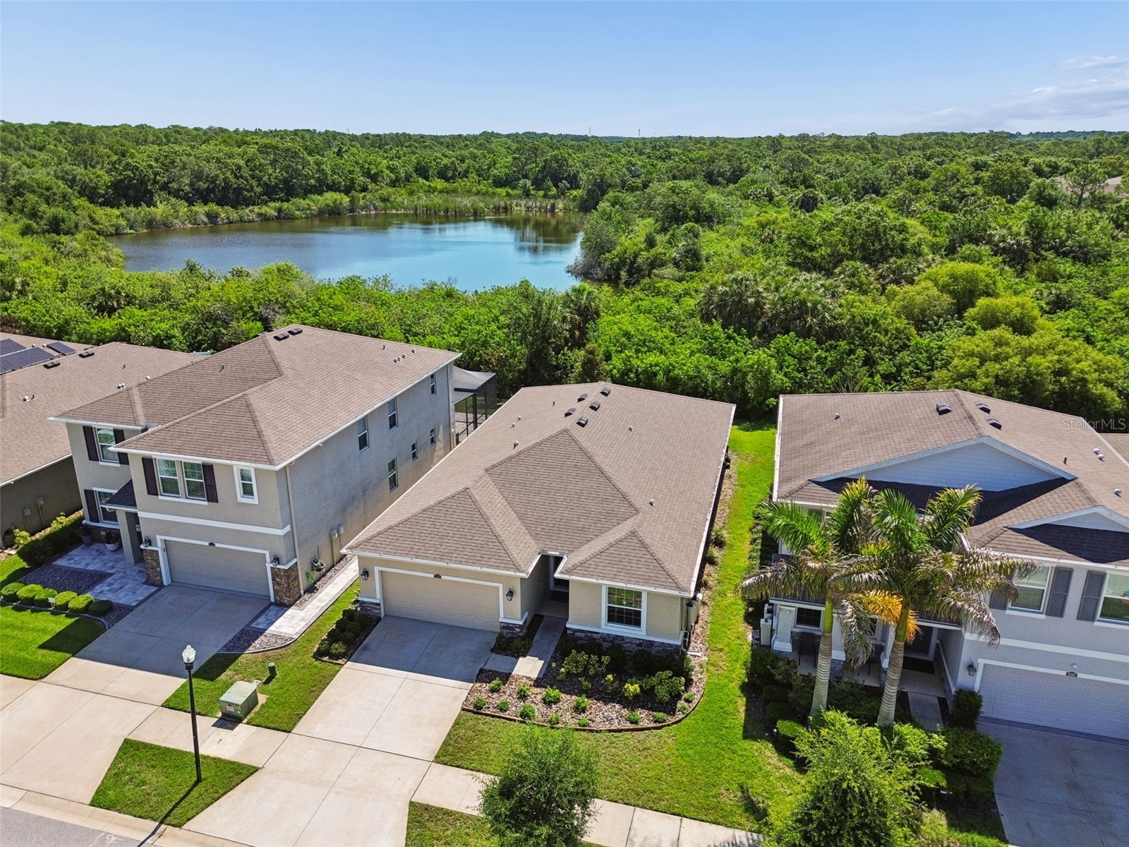 12507 Candleberry Circle Tampa FL 33635 TB8509861 image51