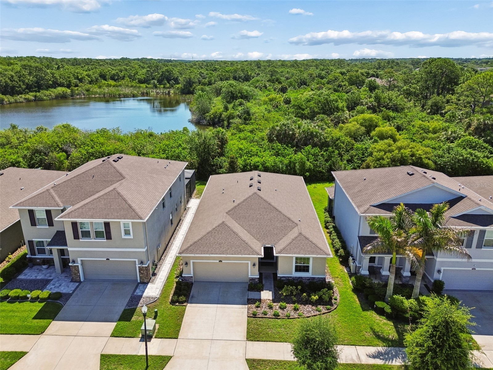 12507 Candleberry Circle Tampa FL 33635 TB8509861 image52