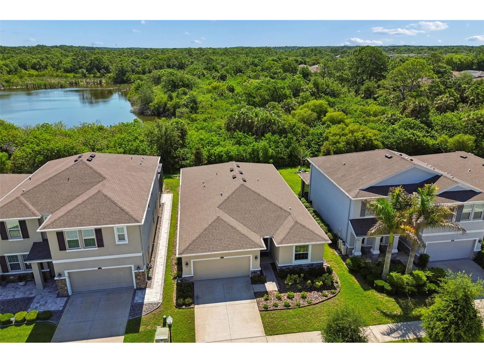 12507 Candleberry Circle Tampa FL 33635 TB8509861 image53
