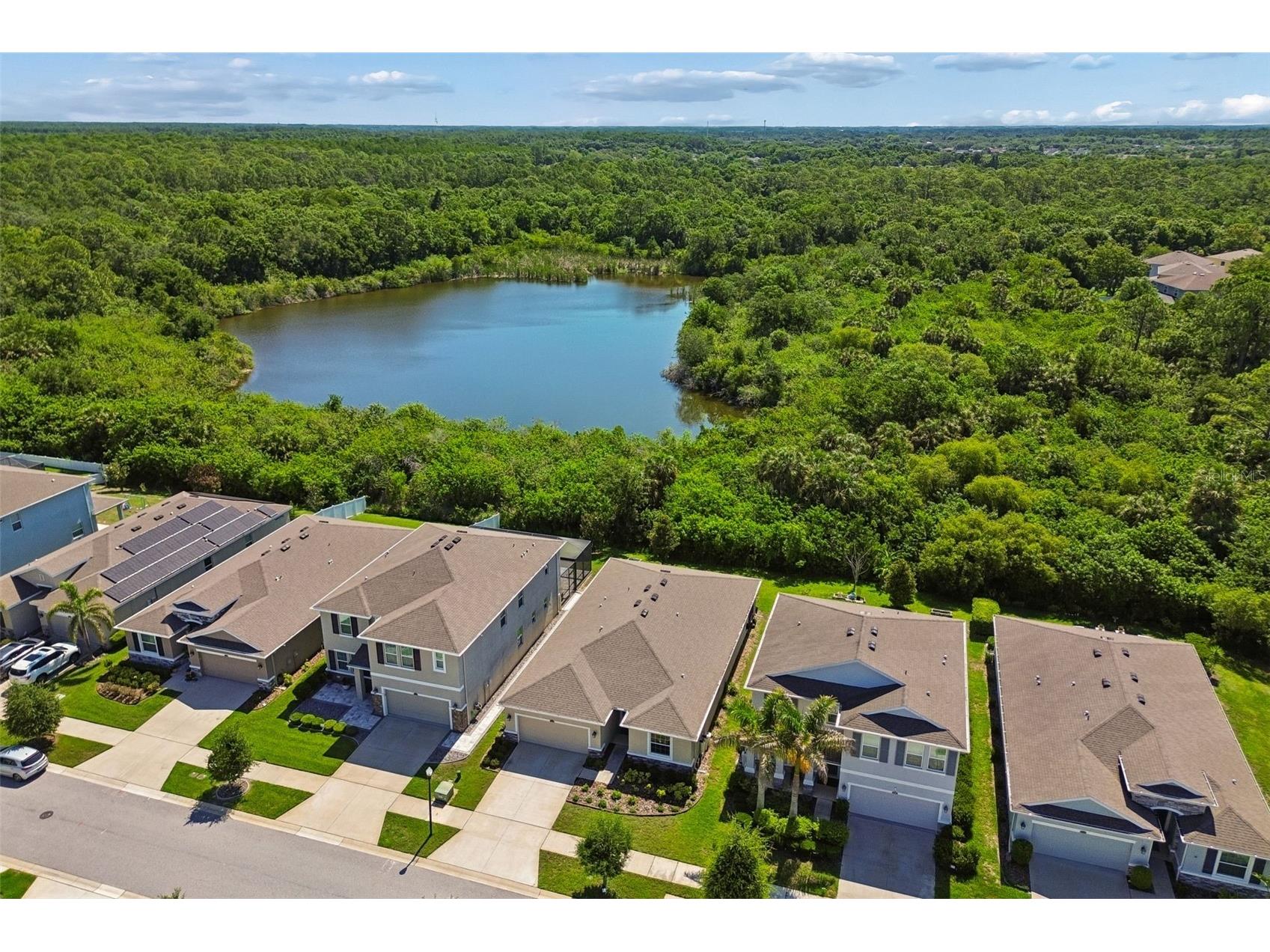 12507 Candleberry Circle Tampa FL 33635 TB8509861 image54