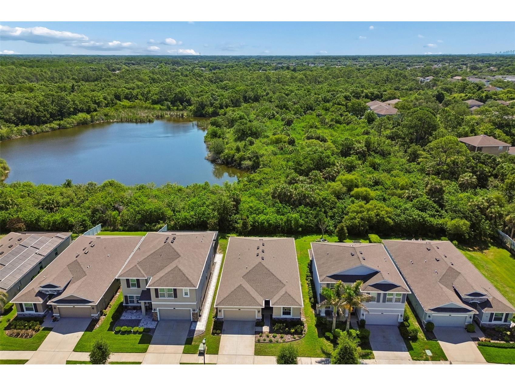12507 Candleberry Circle Tampa FL 33635 TB8509861 image55
