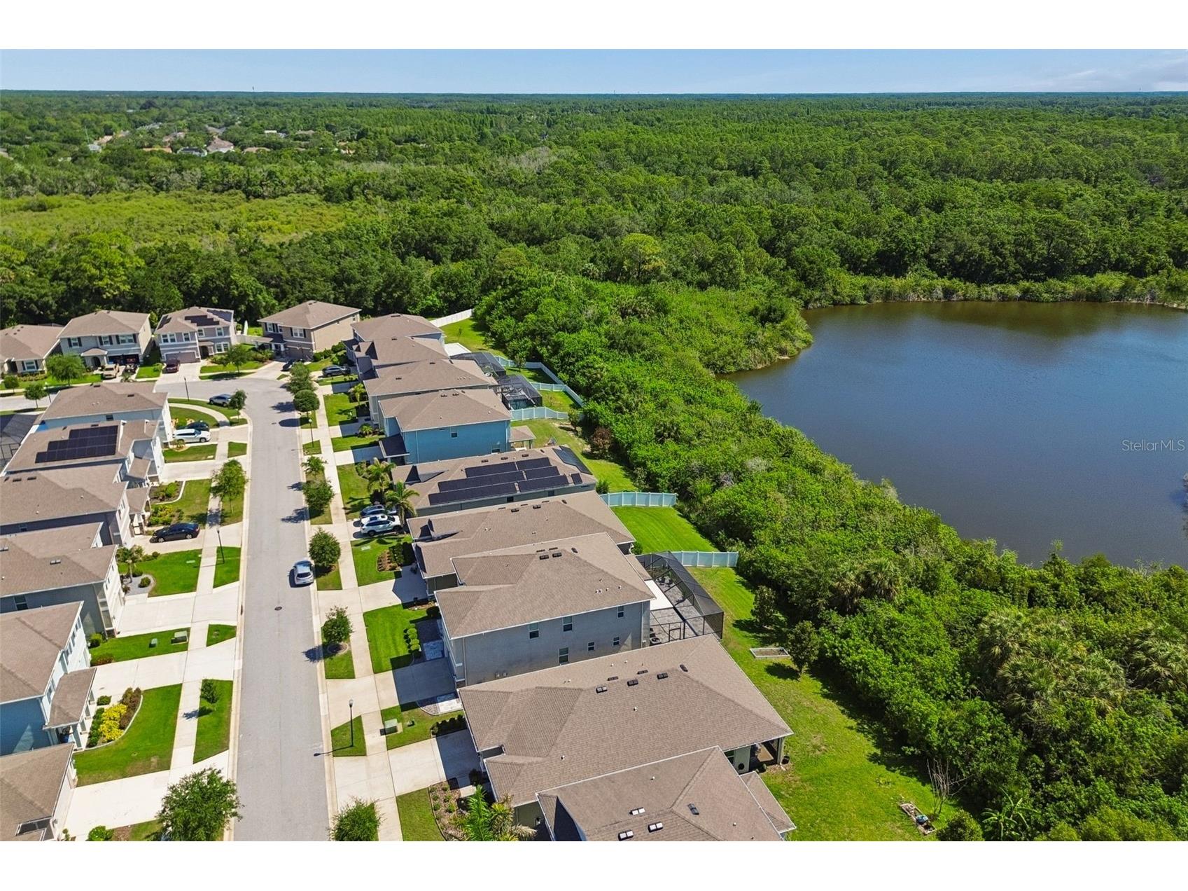 12507 Candleberry Circle Tampa FL 33635 TB8509861 image59
