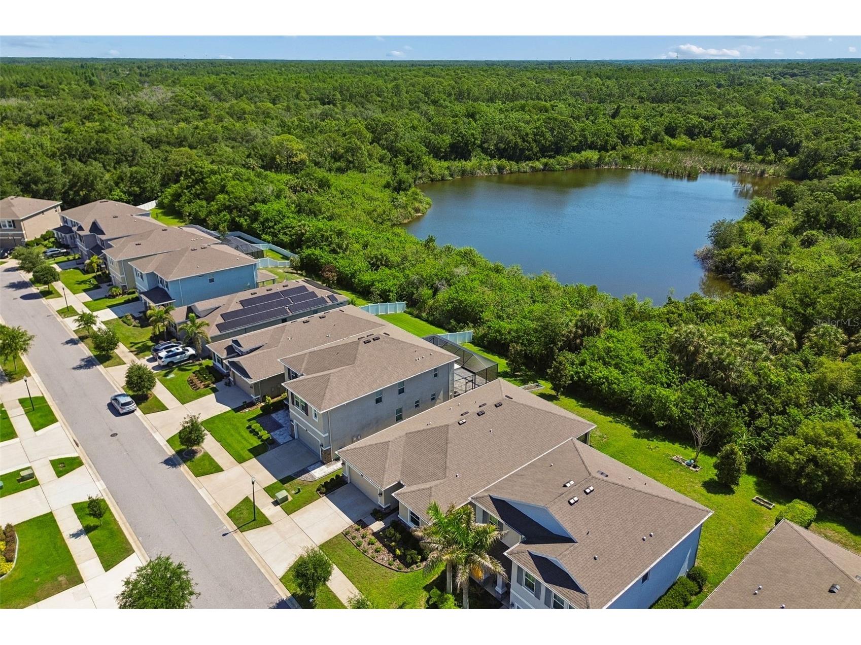12507 Candleberry Circle Tampa FL 33635 TB8509861 image60