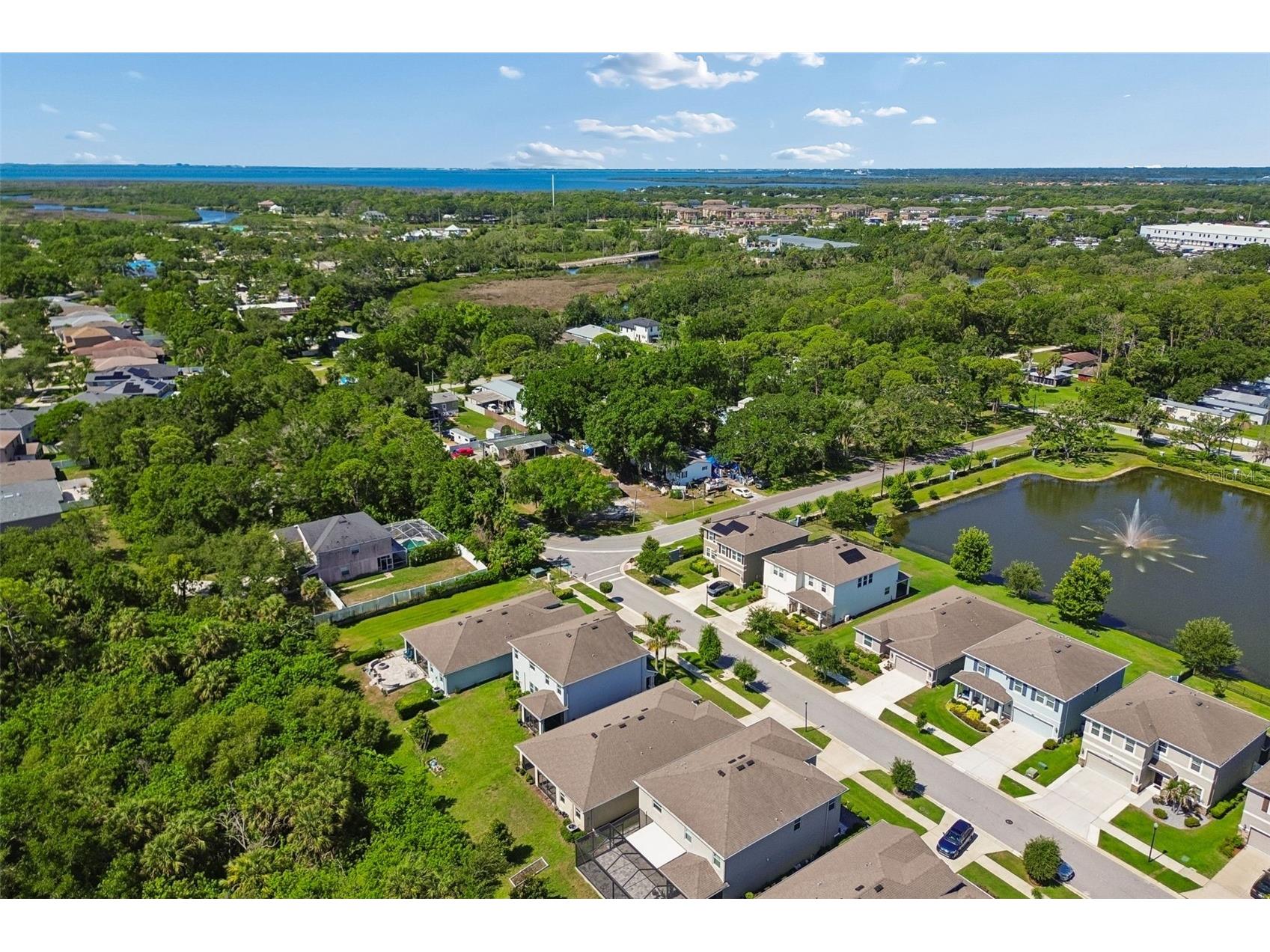 12507 Candleberry Circle Tampa FL 33635 TB8509861 image65
