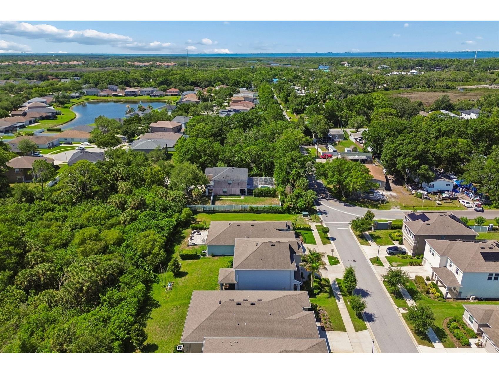 12507 Candleberry Circle Tampa FL 33635 TB8509861 image66
