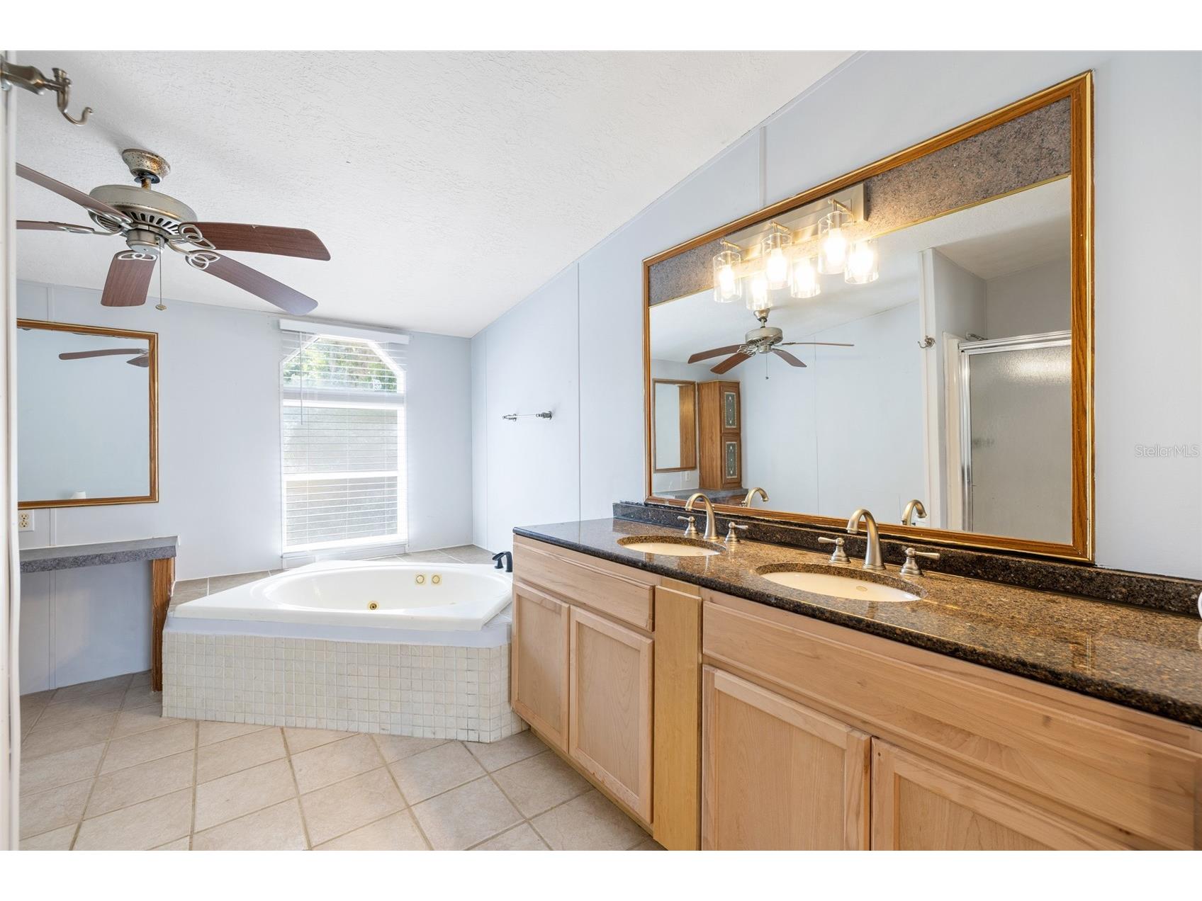 12507 Icewood Court Riverview FL 33579 TB8503666 image25