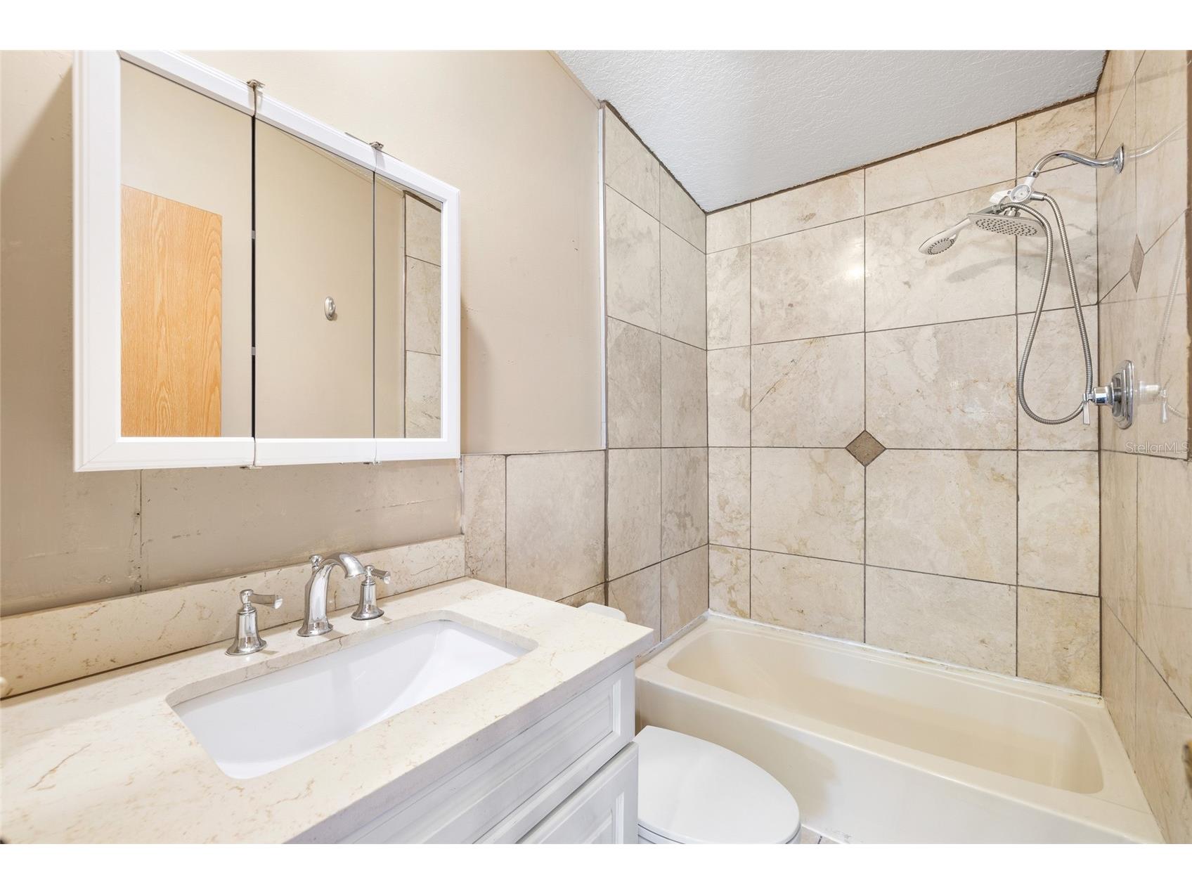 12507 Icewood Court Riverview FL 33579 TB8503666 image31