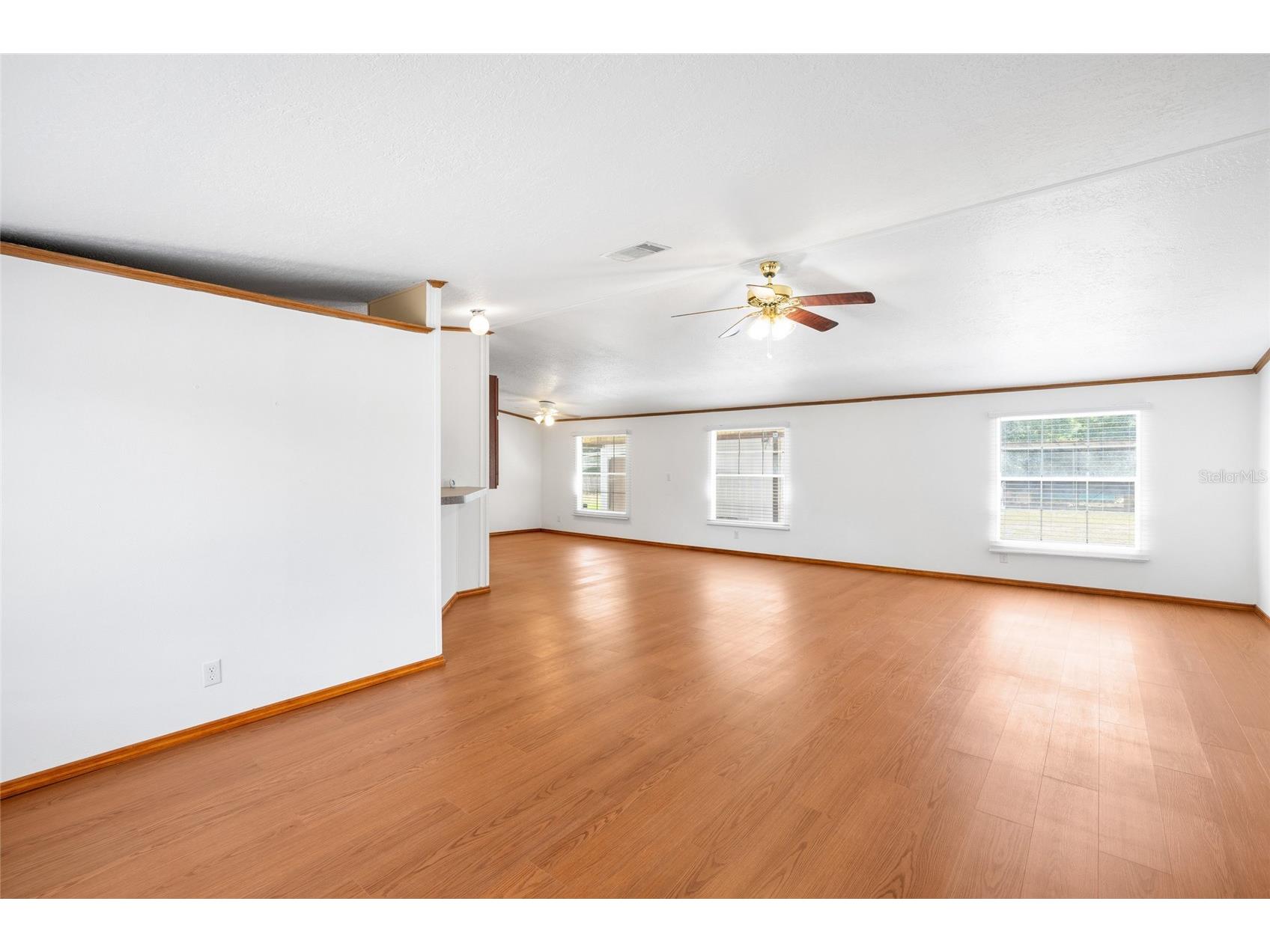 12507 Icewood Court Riverview FL 33579 TB8503666 image7