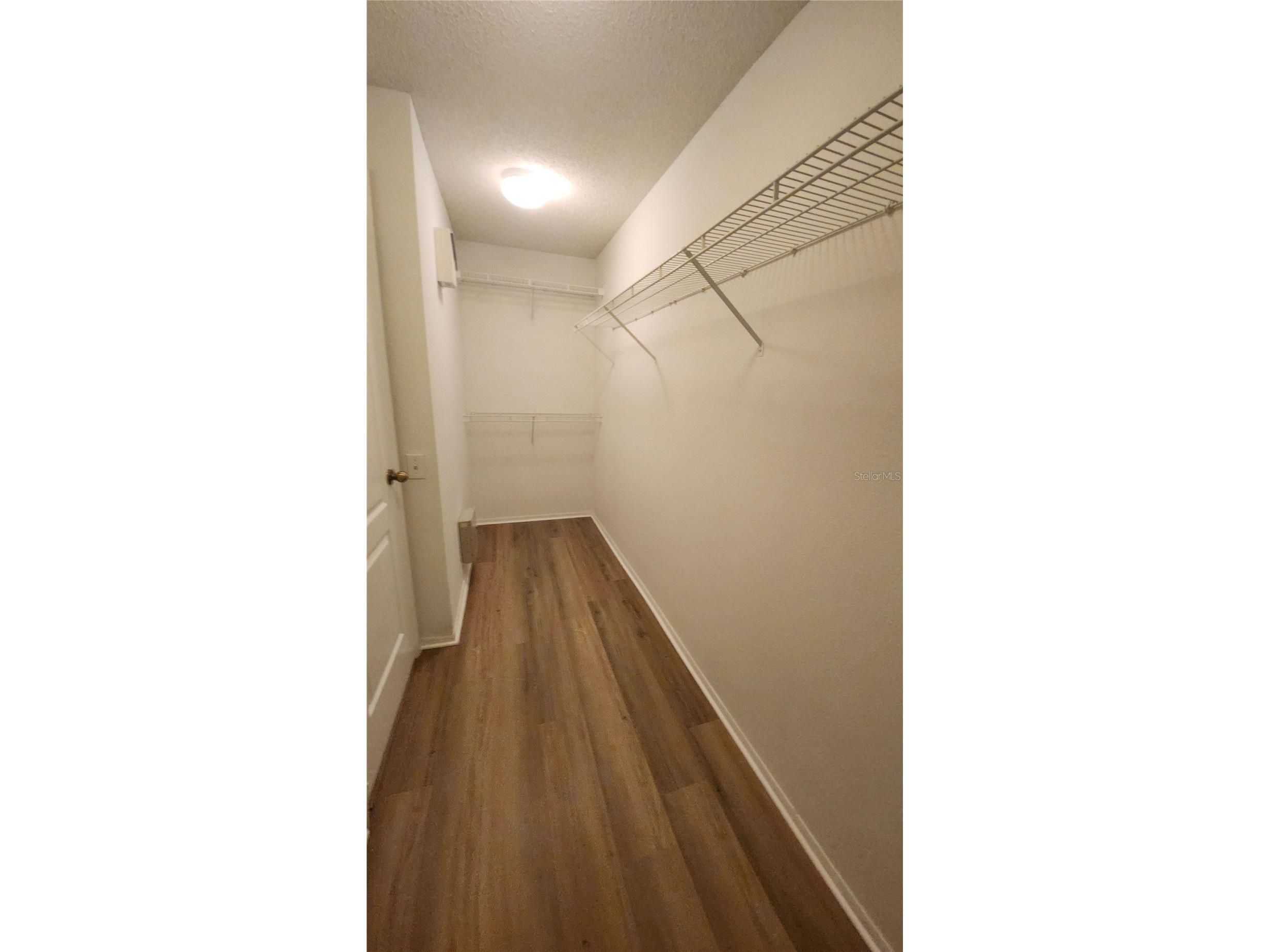12507 Midpointe Drive Riverview FL 33578 TB8515937 image5