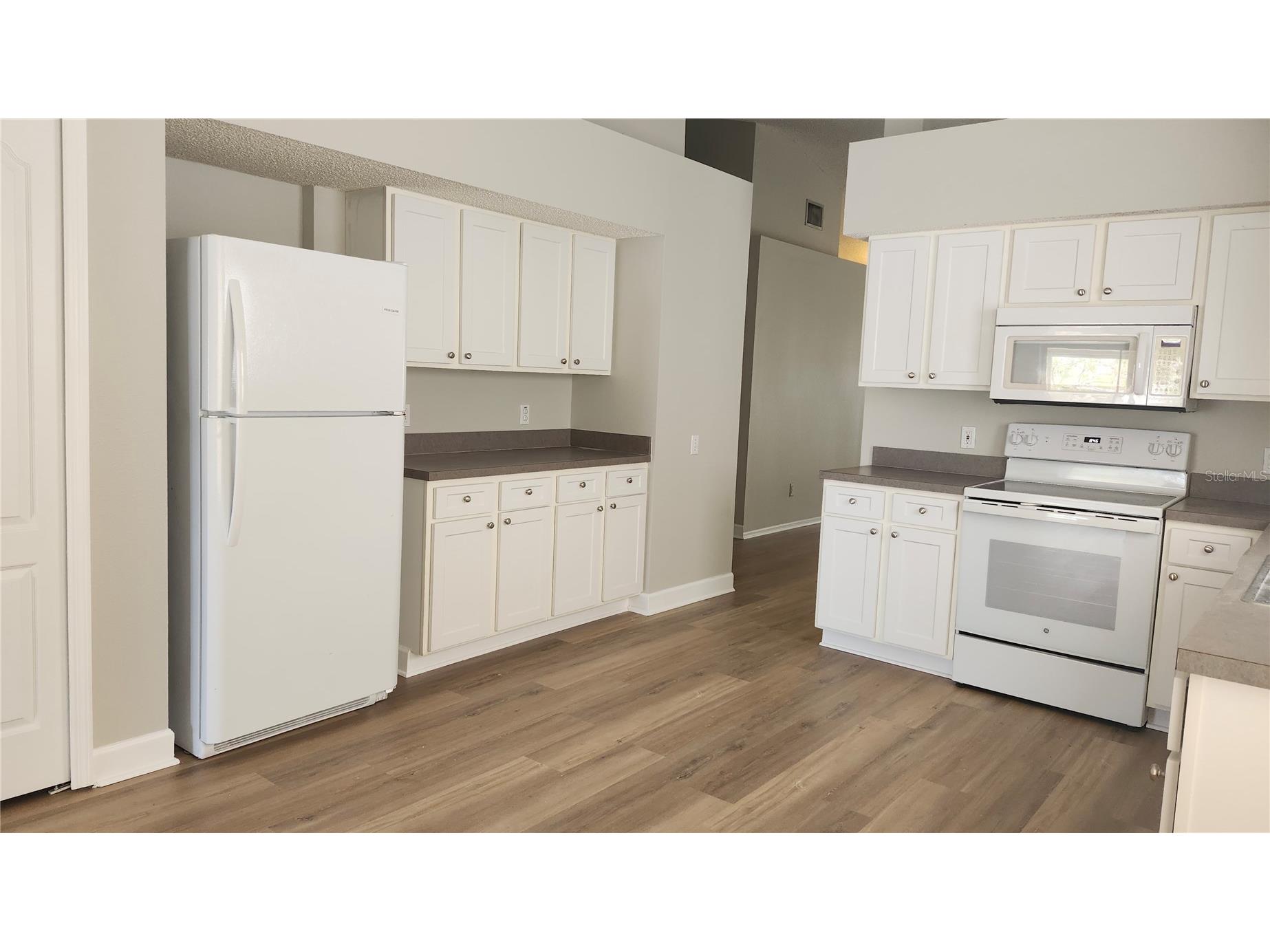 12507 Midpointe Drive Riverview FL 33578 TB8515937 image7