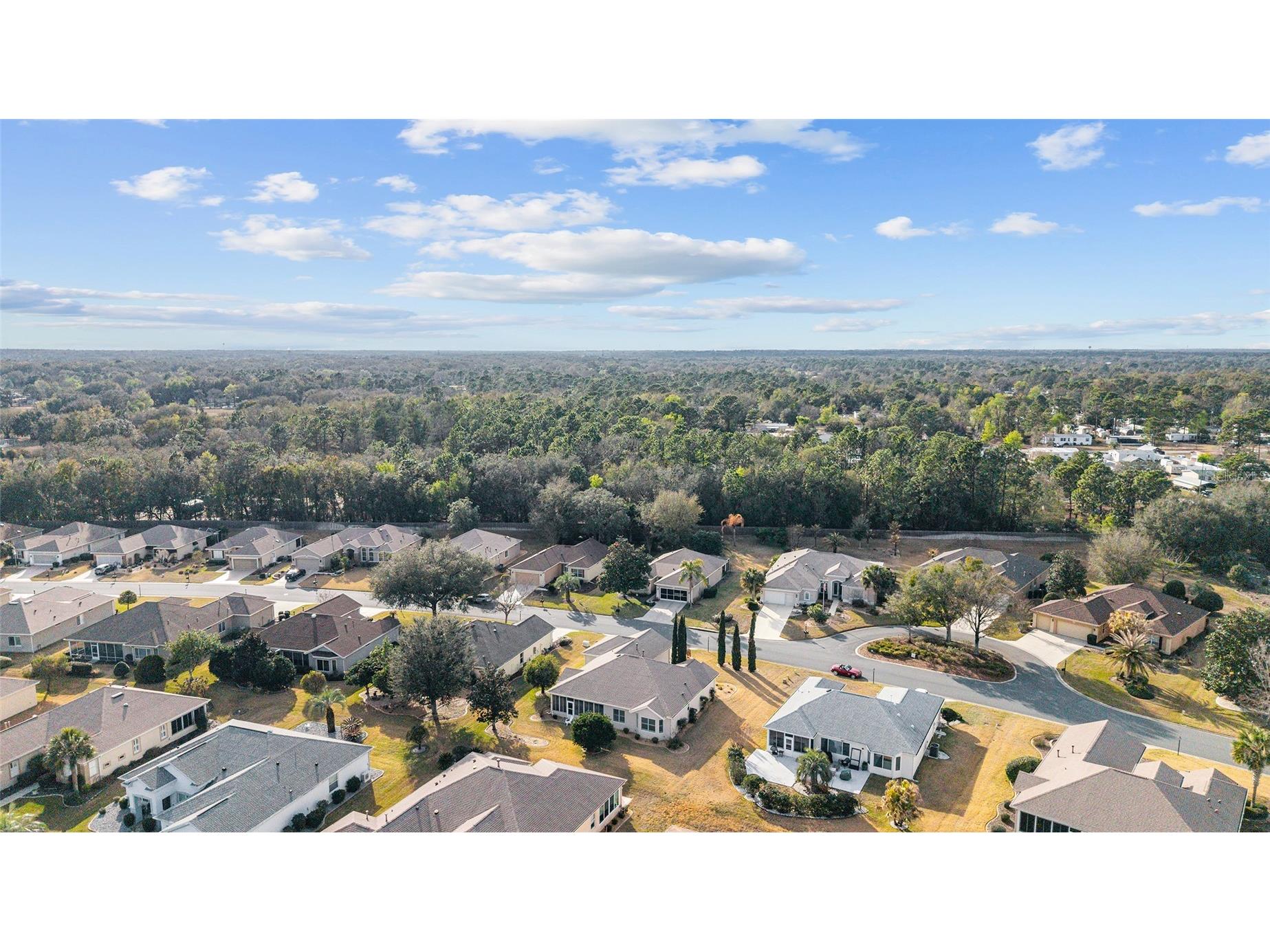 12507 SE 90th Terrace Summerfield FL 34491 OM719796 image51