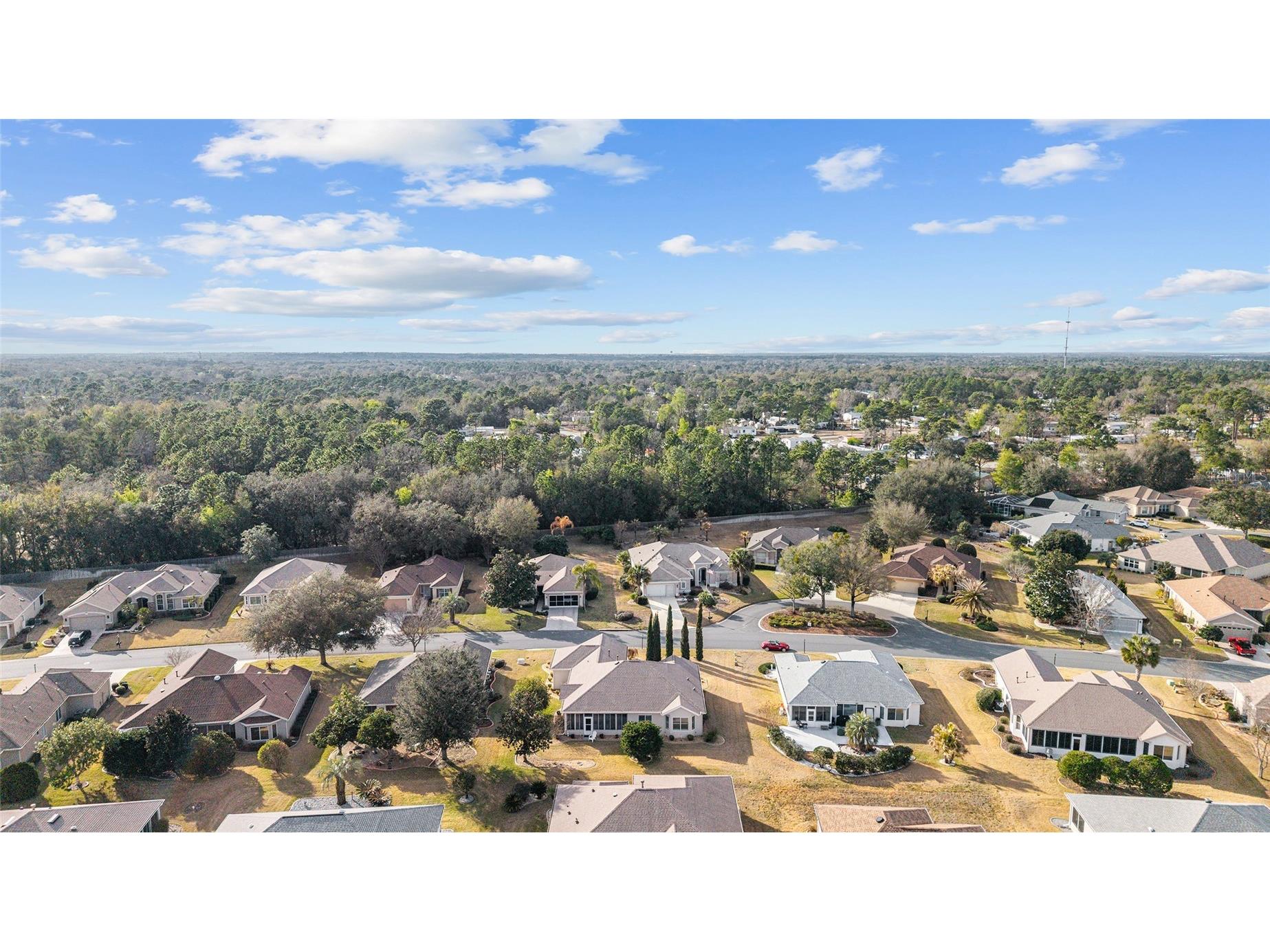 12507 SE 90th Terrace Summerfield FL 34491 OM719796 image52