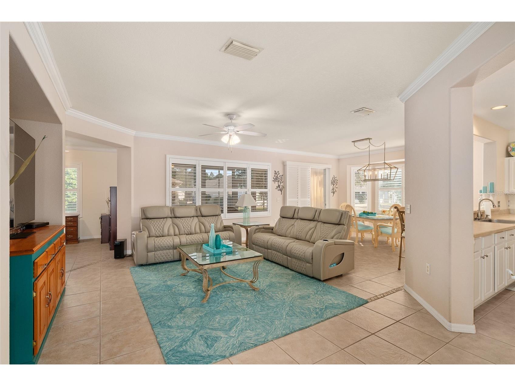 12507 SE 90th Terrace Summerfield FL 34491 OM719796 image8