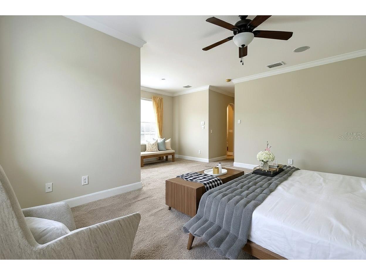 12507 Silverdale Street Tampa FL 33626 TB8464076 image13