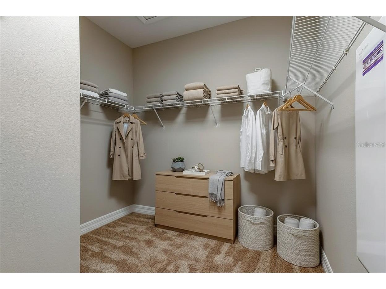 12507 Silverdale Street Tampa FL 33626 TB8464076 image15