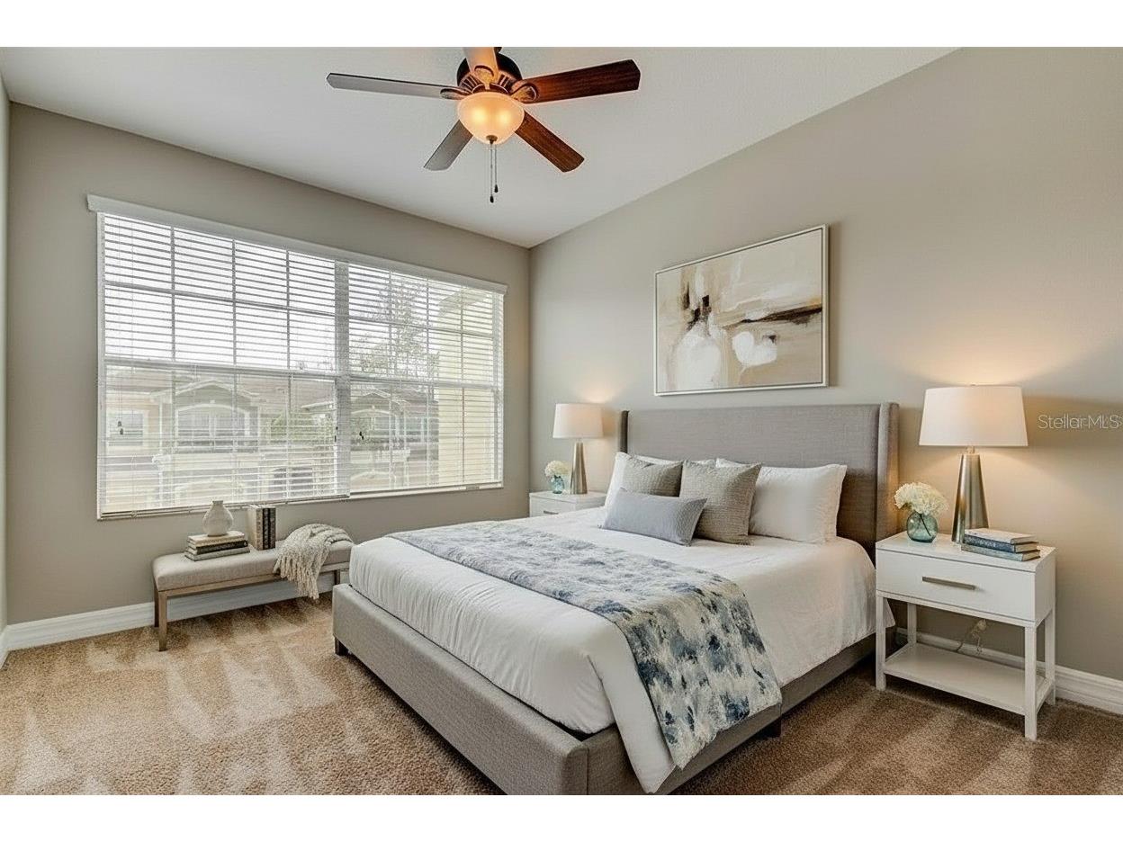 12507 Silverdale Street Tampa FL 33626 TB8464076 image19