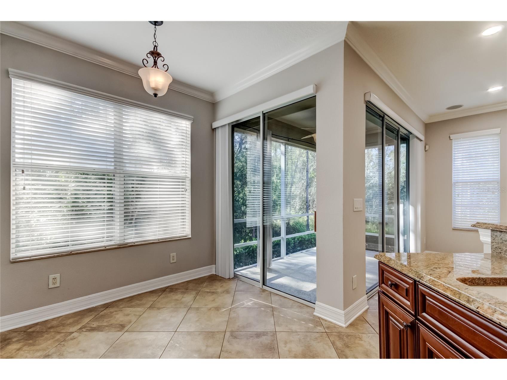 12507 Silverdale Street Tampa FL 33626 TB8464076 image39