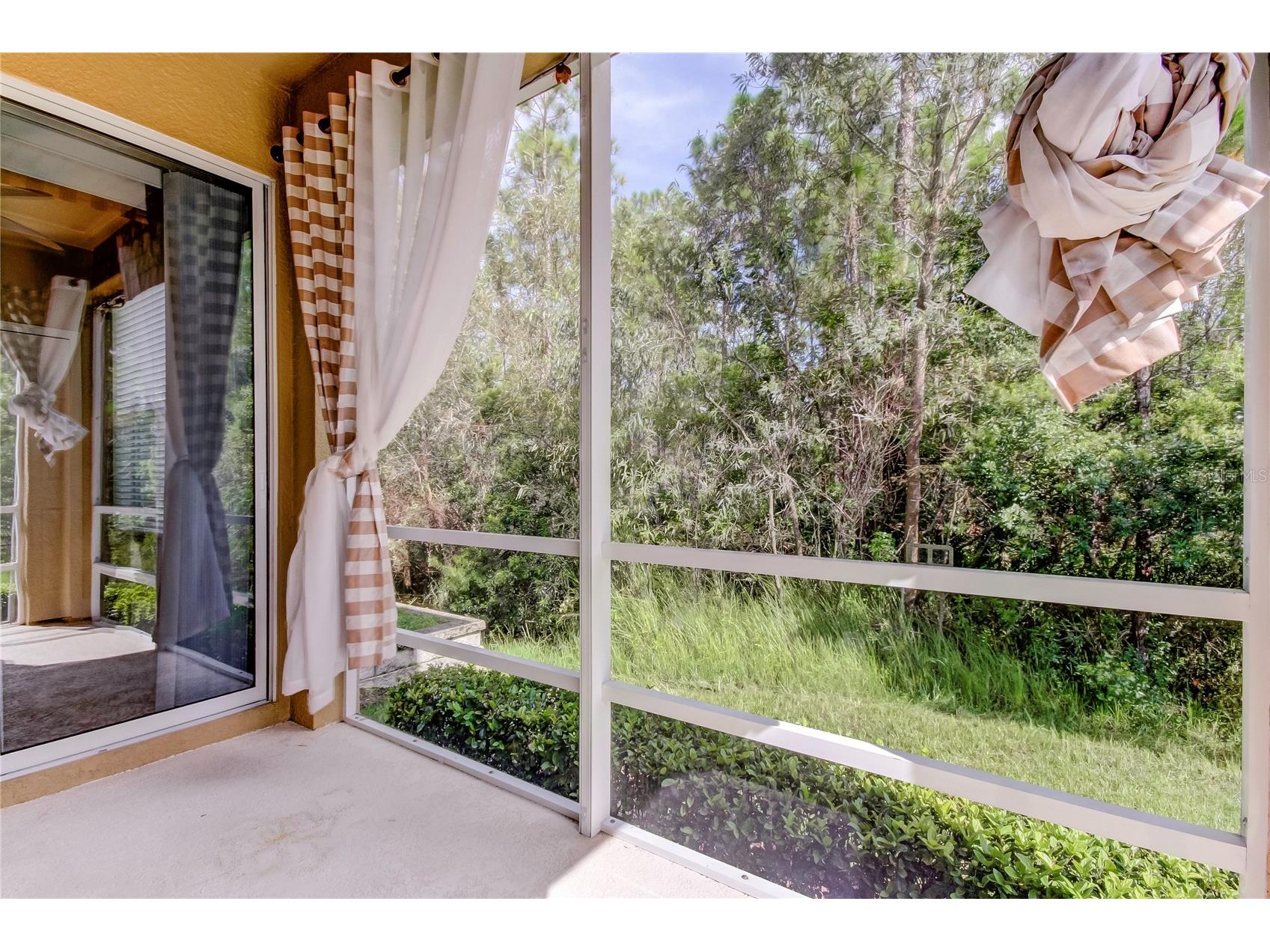 12507 Silverdale Street Tampa FL 33626 TB8464076 image41