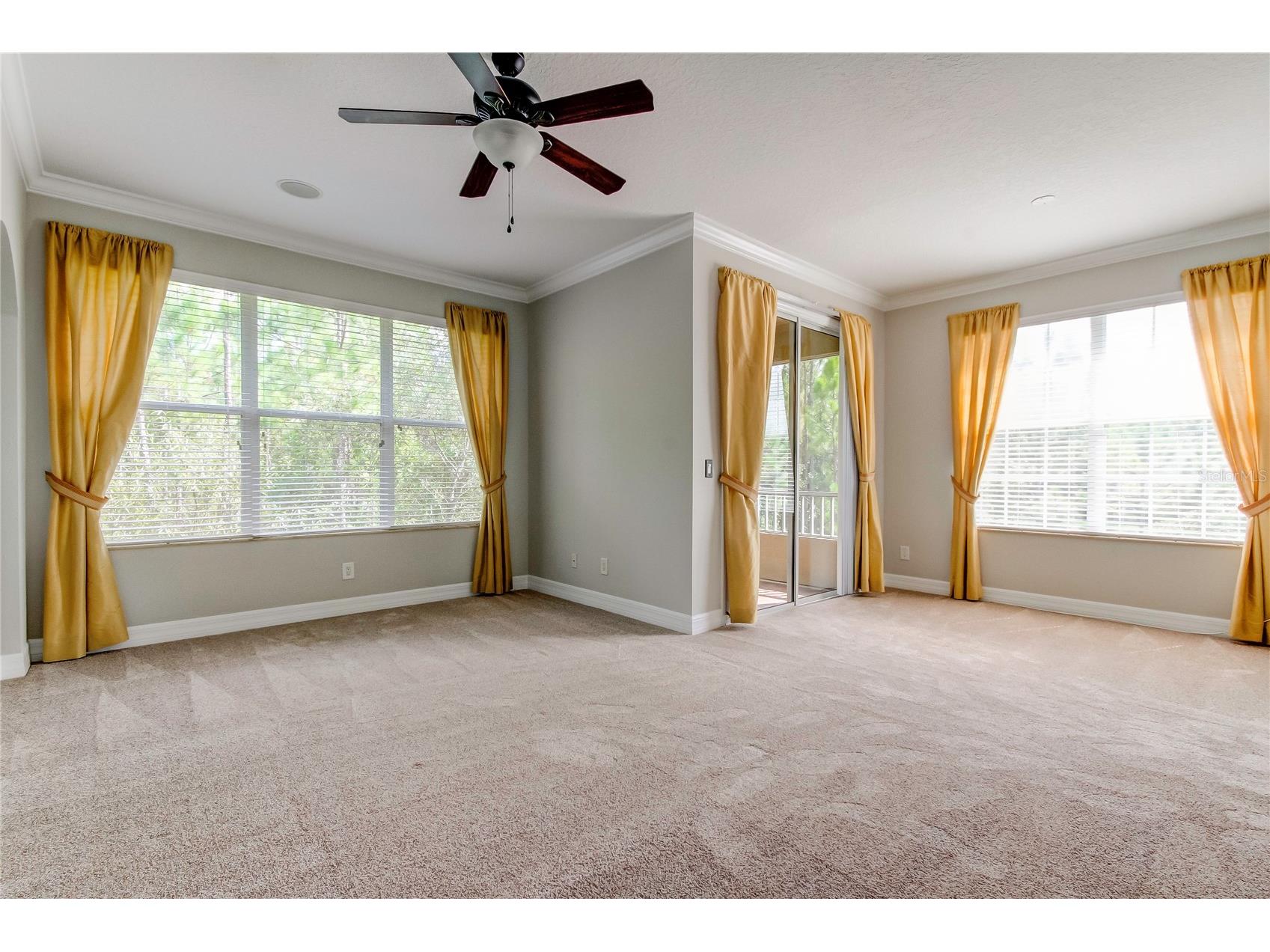 12507 Silverdale Street Tampa FL 33626 TB8464076 image52