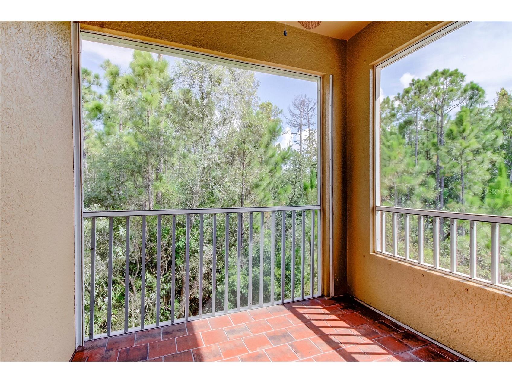 12507 Silverdale Street Tampa FL 33626 TB8464076 image54