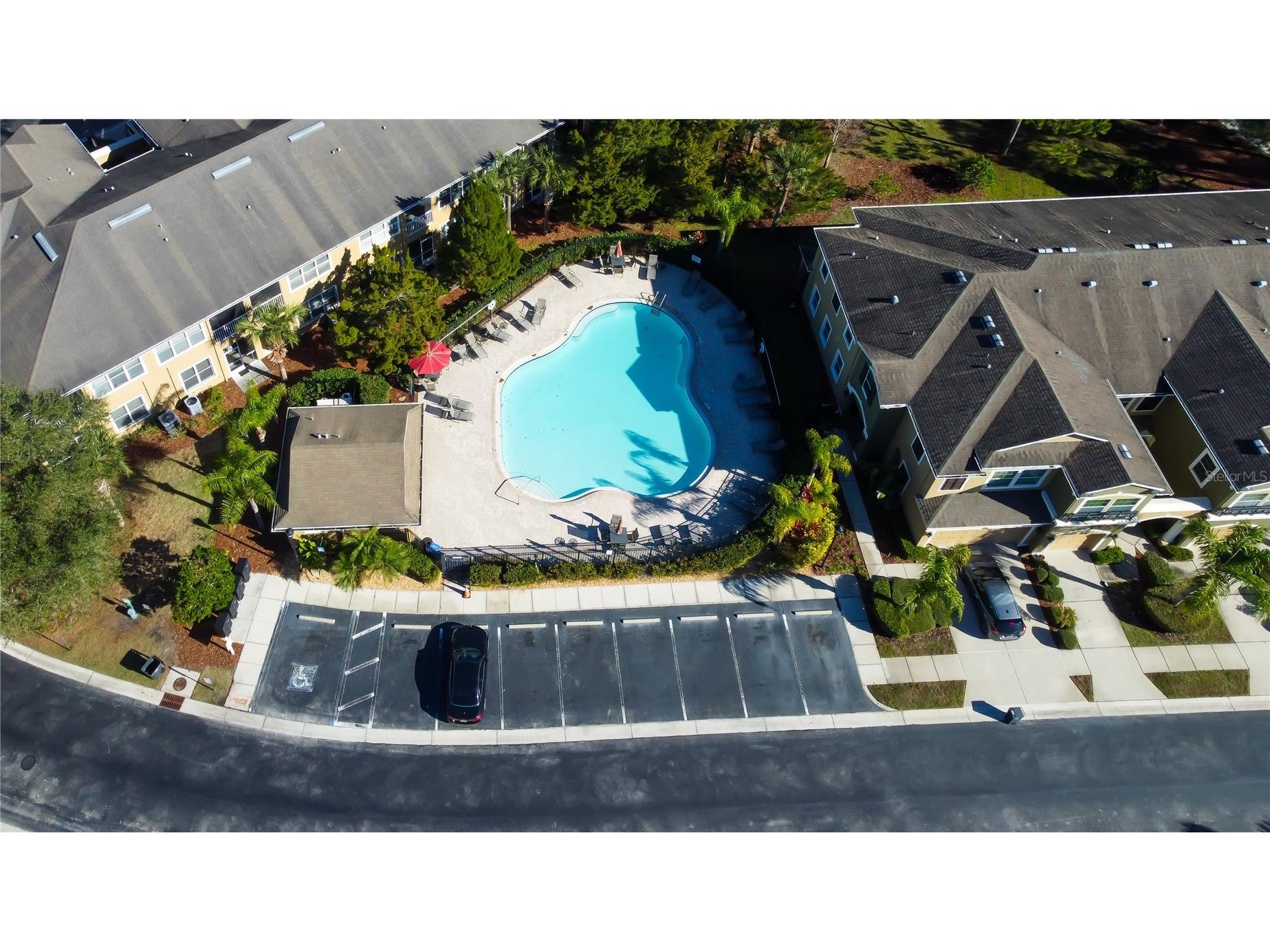 12507 Silverdale Street Tampa FL 33626 TB8464076 image64